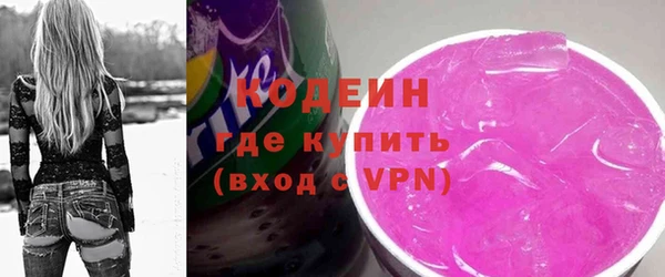 индика Ветлуга