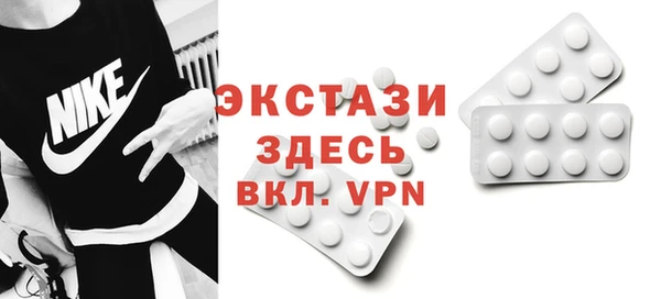 индика Нягань